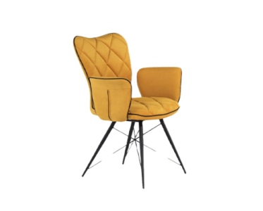 Chaises de table à manger