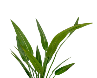 Plantes et fleurs artificielles