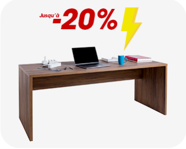 BUREAU PROFESSIONNEL