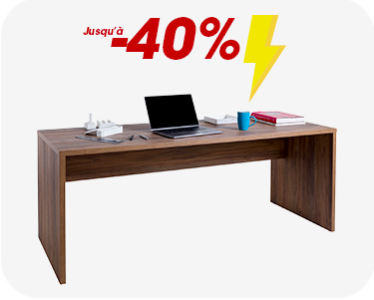 BUREAU PROFESSIONNEL