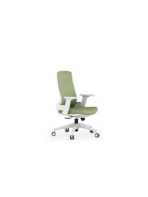 Fauteuil Sénateur BARI - Vert / Blanc