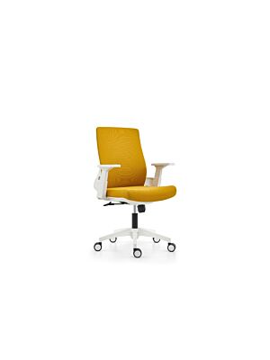 Fauteuil Sénateur BARI - Jaune / Blanc