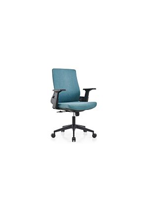 Fauteuil Sénateur BARI - Turquois