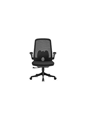 Fauteuil Sénateur 4TASK - Noir