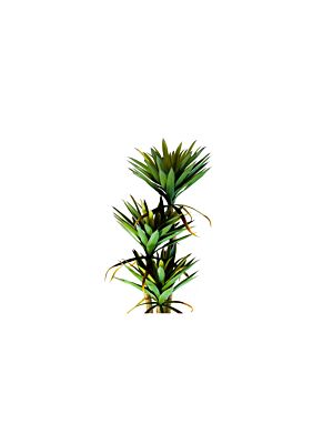 Plante Artificielle YUCCA 160cm - Vert