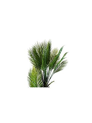 Plante Artificielle PALMIER 150cm - Vert