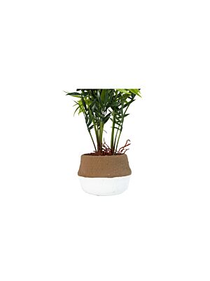 Plante Artificielle MINI PALMIER 44cm - Vert