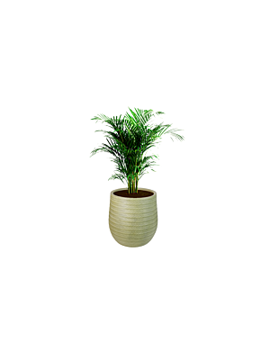 Pot En Fibre  44cm - Vert