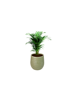 Pot En Fibre  32cm - Vert