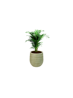 Pot En Fibre  22cm - Vert