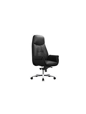 Fauteuil ergonomique AEON