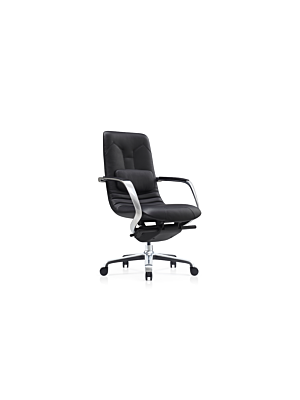 Fauteuil Sénateur DOLPHIN - Noir