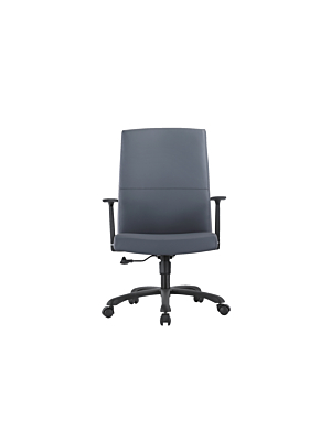 Fauteuil Sénateur SMOOTH