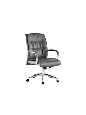 Fauteuil sénateur COACH - Gris