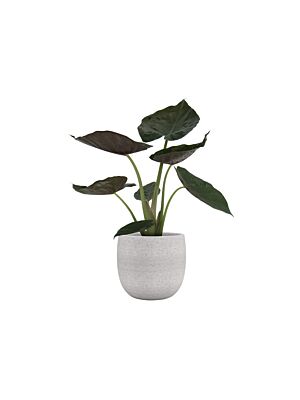 Cache-Pot HEMERA 29 cm - Crème