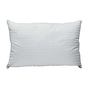 Oreiller SOMEO 70x50cm - Blanc Oreillers