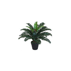 Plante Artificielle CYCAS