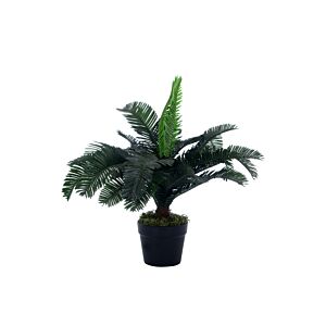 Plante Artificielle CYCAS Plantes et fleurs artificielles