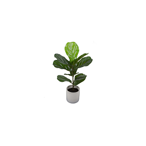Plante Artificielle FIDDLE S Plantes et fleurs artificielles