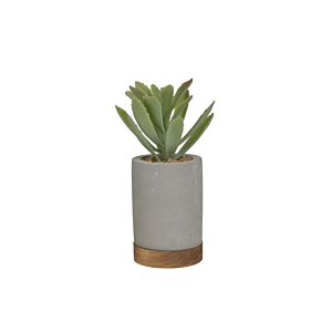 Plante Base Bois - Gris Plantes et fleurs artificielles