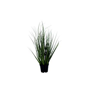 Plante Artificielle ONION GRASS en Pot 46cm - Vert
