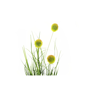 Plante Artificielle POA GRASS Avec Pot 45cm - Vert