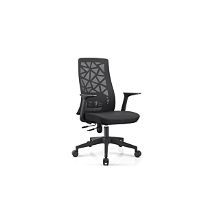 Fauteuil Sénateur BEIRUT - Noir