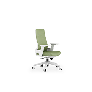 Fauteuil Sénateur BARI - Vert / Blanc