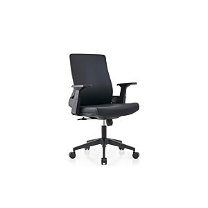 Fauteuil Sénateur BARI - Noir