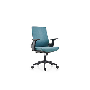 Fauteuil Sénateur BARI - Turquois