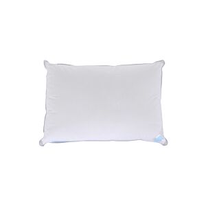 Oreiller COUVRE WELL SENSATION DUVET- Blanc Oreillers