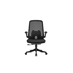 Fauteuil Sénateur 4TASK - Noir