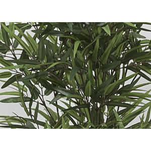 Plante Artificielle 150CM - DRACAENA