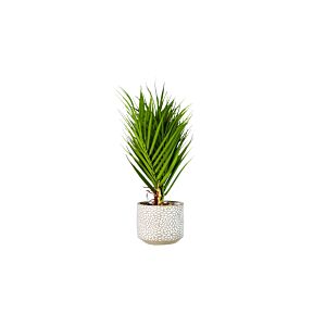 Plante Artificielle MINI PALMIER 35cm - Vert Plantes et fleurs artificielles