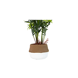 Plante Artificielle MINI PALMIER 44cm - Vert