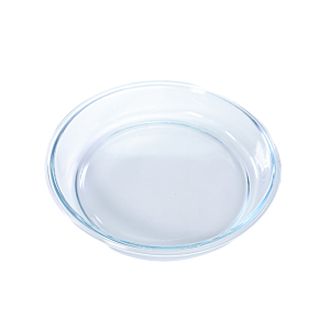 Saladier BORCAM Avec Couvecle - Blanc
