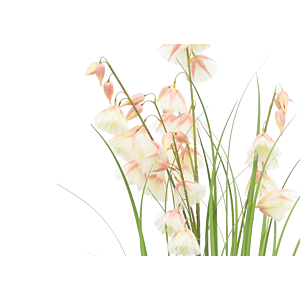  Herbe de princesse avec pot en plastique 121cm - Vert