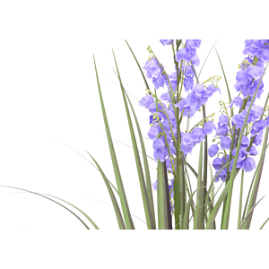 Herbe de campanule avec pot 80cm - Vert / Violet