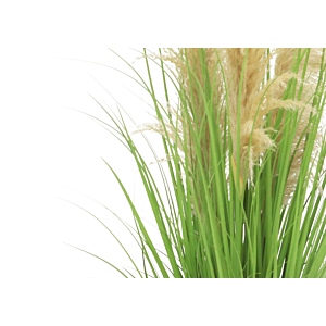 Herbe de pampa avec pot en plastique 110cm - Vert