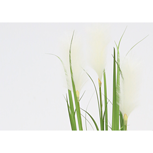 Herbe Roseau avec pot 121cm - Vert