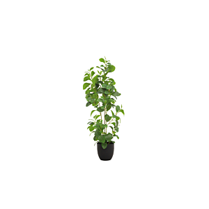 Plante Cresson de fontaine Avec Pot 91cm - Vert Plantes et fleurs artificielles