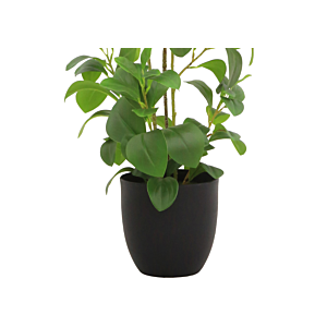 Plante Cresson de fontaine Avec Pot 91cm - Vert