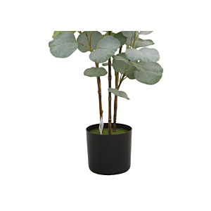 Feuille d'eucalyptus avec pot 121cm - Vert 
