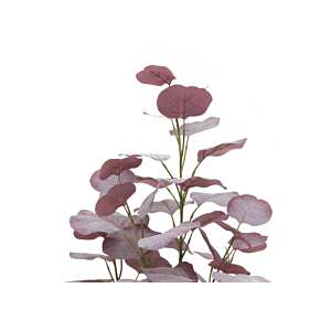 Feuille d'eucalyptus avec pot 121cm - Violet