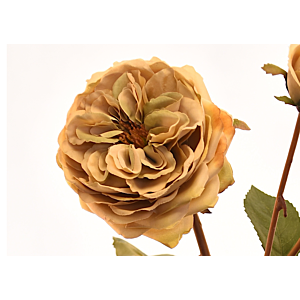 Rose 55cm - Jaune