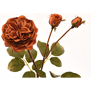 Rose 55cm - Orange