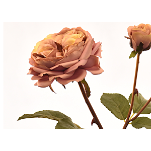 Rose 55cm - Rose Clair