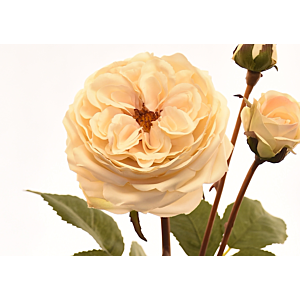 Rose 55cm - Blanc Cassé