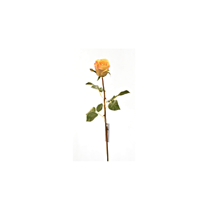 Rose 60cm - Jaune Plantes et fleurs artificielles
