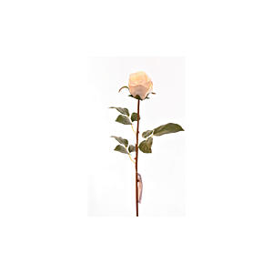 Rose 60cm - Blanche Plantes et fleurs artificielles